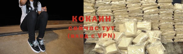 спайс Алзамай