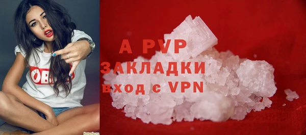 стаф Алексин