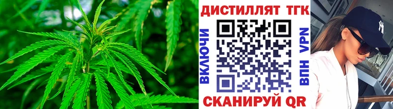 ТГК THC oil  где можно купить наркотик  Клинцы 